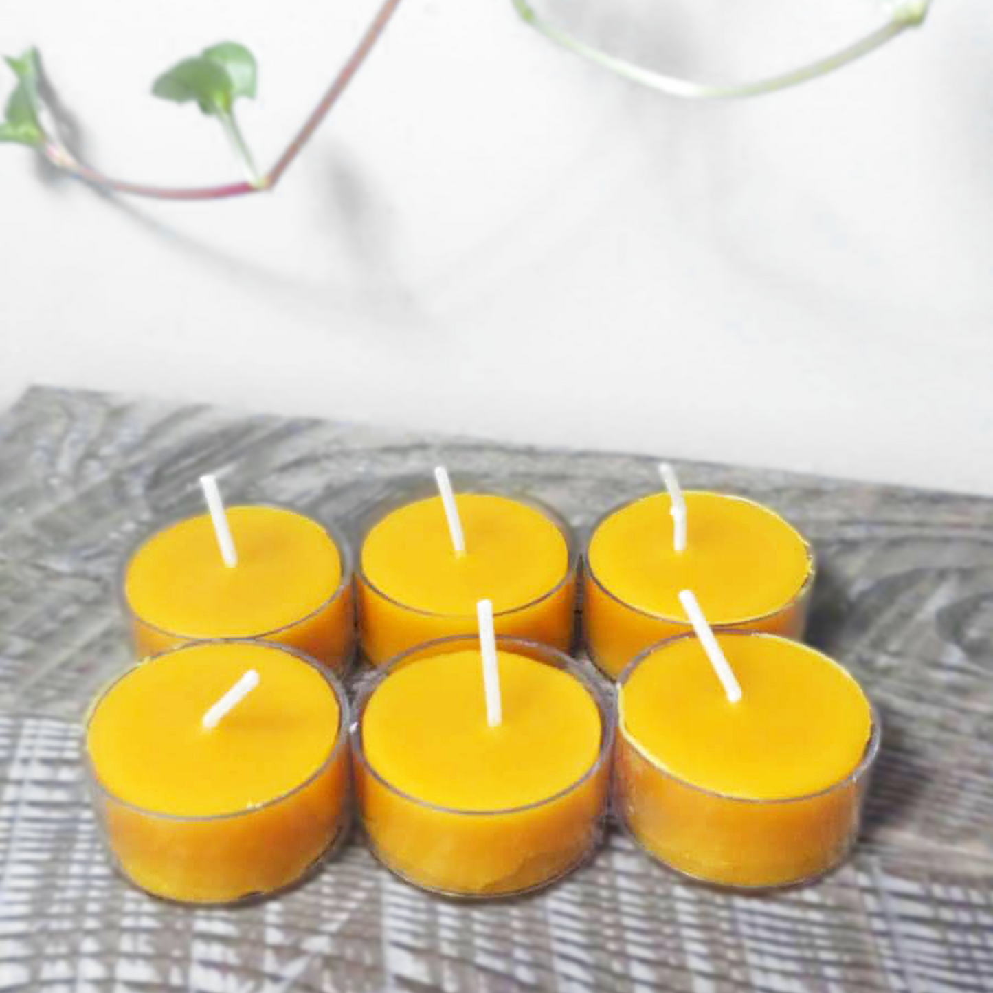 set of 6 beeswax tealights on rustic desktop