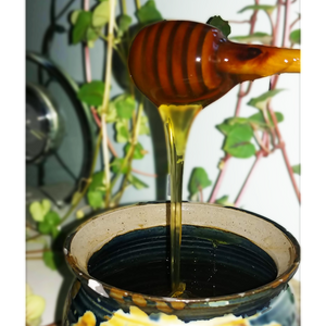honey dipper with honey